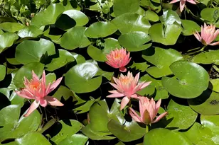 4038 E 3rd Ave, Napa, CA 94558 - Photo 90