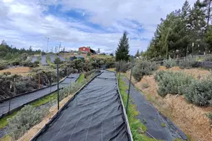 19450 Tomki Rd, Redwood Valley, CA 95470 - Photo 22