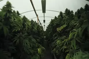 19450 Tomki Rd, Redwood Valley, CA 95470 - Photo 14