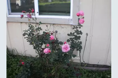 1911 Corby Avenue, Santa Rosa, CA 95407 - Photo 1