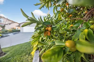 1056 Esparto Ct, Windsor, CA 95492 - Photo 2