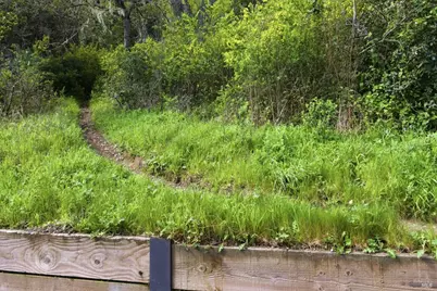 711 Forest Way, Mill Valley, CA 94941 - Photo 54