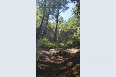 18190 Old Monte Rio Road, Guerneville, CA 95446 - Photo 2