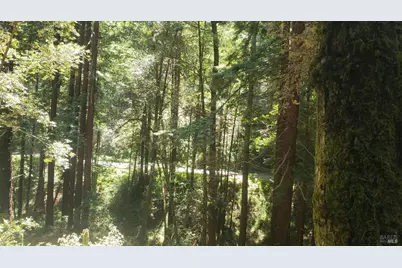 18190 Old Monte Rio Road, Guerneville, CA 95446 - Photo 16