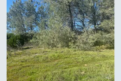 16295 Tinilyn Road, Lower Lake, CA 95457 - Photo 8