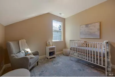 2029 Park Vista Court, Santa Rosa, CA 95405 - Photo 38