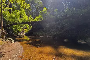 7001 Lucas Valley Rd, Nicasio, CA 94946 - Photo 40