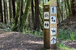 880 River Beach Rd, The Sea Ranch, CA 95497 - Photo 44