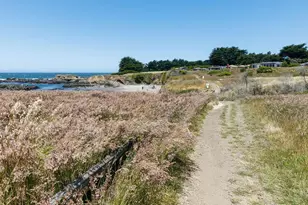 880 River Beach Rd, The Sea Ranch, CA 95497 - Photo 44
