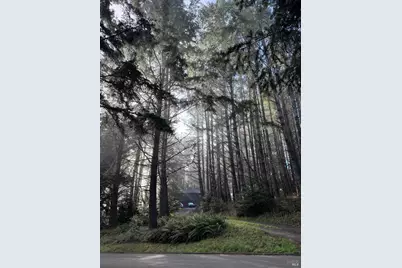 880 River Beach Road, The Sea Ranch, CA 95497 - Photo 42