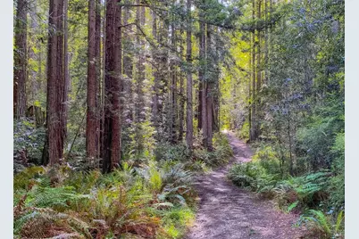 880 River Beach Road, The Sea Ranch, CA 95497 - Photo 46