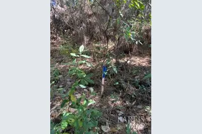 36359 Timber Ridge Road, The Sea Ranch, CA 95497 - Photo 18