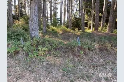 36359 Timber Ridge Road, The Sea Ranch, CA 95497 - Photo 6