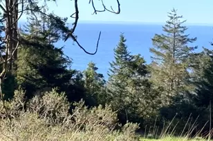 36359 Timber Ridge Rd, The Sea Ranch, CA 95497 - Photo 1