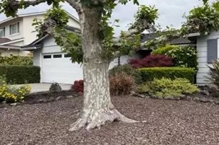 48 Clemente Ct, Novato, CA 94945 - Photo 16