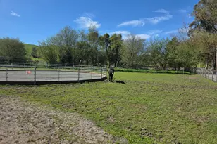 4320 Roblar Rd, Petaluma, CA 94952 - Photo 48