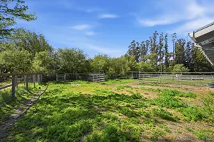 4320 Roblar Rd, Petaluma, CA 94952 - Photo 44