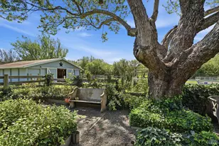 4320 Roblar Rd, Petaluma, CA 94952 - Photo 38