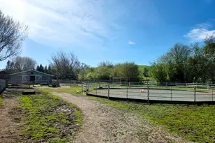 4320 Roblar Rd, Petaluma, CA 94952 - Photo 46