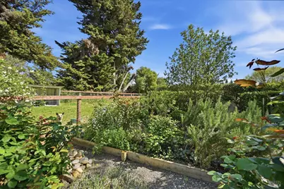 4320 Roblar Road, Petaluma, CA 94952 - Photo 10