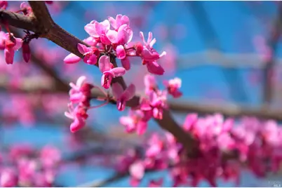 100 Deer Valley Road #3H, San Rafael, CA 94903 - Photo 12