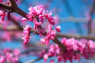 100 Deer Valley Rd, San Rafael, CA 94903 - Photo 12