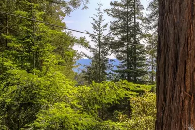 46800 Ocean View Drive, Gualala, CA 95445 - Photo 26