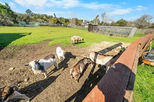 8 Circle Rd, San Rafael, CA 94903 - Photo 22