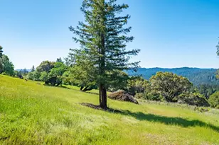 16101 Lost Crk Rd, Yorkville, CA 95494 - Photo 78