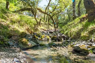 16101 Lost Crk Rd, Yorkville, CA 95494 - Photo 76