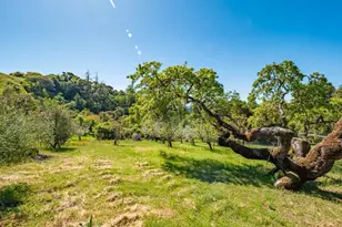 16101 Lost Crk Rd, Yorkville, CA 95494 - Photo 72