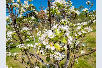 16101 Lost Creek Road, Yorkville, CA 95494 - Photo 64