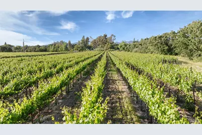 570 E Watmaugh Road, Sonoma, CA 95476 - Photo 2