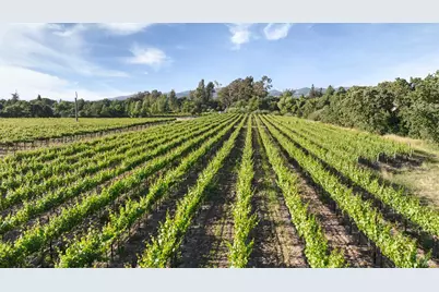 570 E Watmaugh Road, Sonoma, CA 95476 - Photo 6