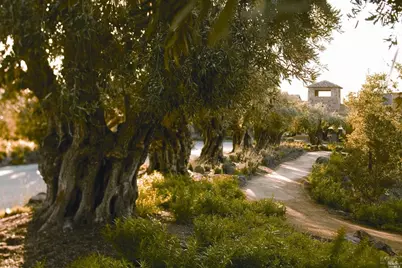 6444 Cottage Ridge Road, Santa Rosa, CA 95403 - Photo 94