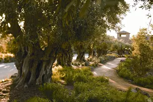 6444 Cottage Ridge Rd, Santa Rosa, CA 95403 - Photo 94