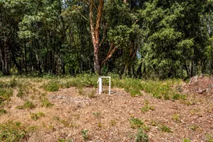 78611 Mina Rd, Covelo, CA 95428 - Photo 16