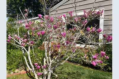 186 Fairmont Avenue, Vallejo, CA 94590 - Photo 18