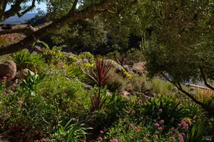 2700 Atlas Peak Rd, Napa, CA 94558 - Photo 66