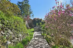 108 Eldridge Ave, Mill Valley, CA 94941 - Photo 52