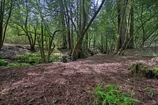 750 Wagnon Rd, Sebastopol, CA 95472 - Photo 64