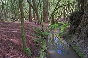 750 Wagnon Rd, Sebastopol, CA 95472 - Photo 66