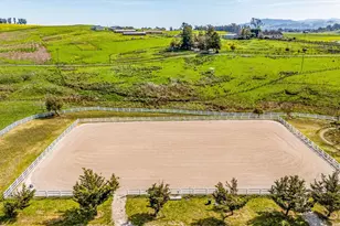 2420 Mountain Ranch Rd, Petaluma, CA 94954 - Photo 78