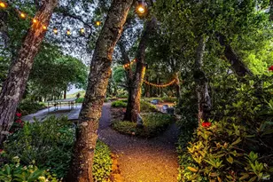 10601 Slattery Rd, Glen Ellen, CA 95442 - Photo 38