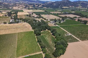 5647 Hwy 128 Hwy, Geyserville, CA 95441 - Photo 64