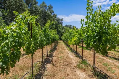 5647 Highway 128 Highway, Geyserville, CA 95441 - Photo 60