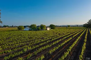 4125 Big Ranch Rd, Napa, CA 94558 - Photo 94