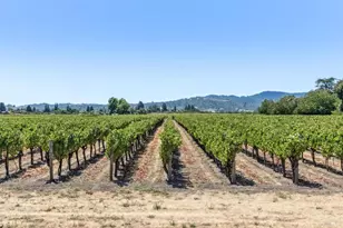 4125 Big Ranch Rd, Napa, CA 94558 - Photo 92