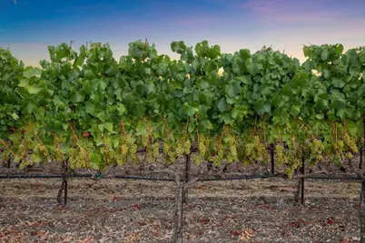 4125 Big Ranch Road, Napa, CA 94558 - Photo 90