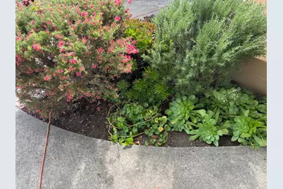 2029 Albany Drive, Santa Rosa, CA 95401 - Photo 4